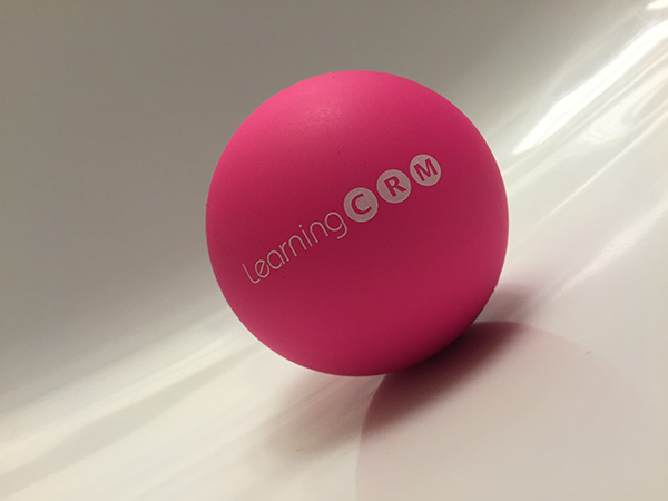 Learning CRM devient Learning Tribes